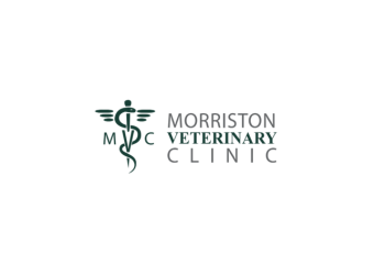 Morriston Vet
